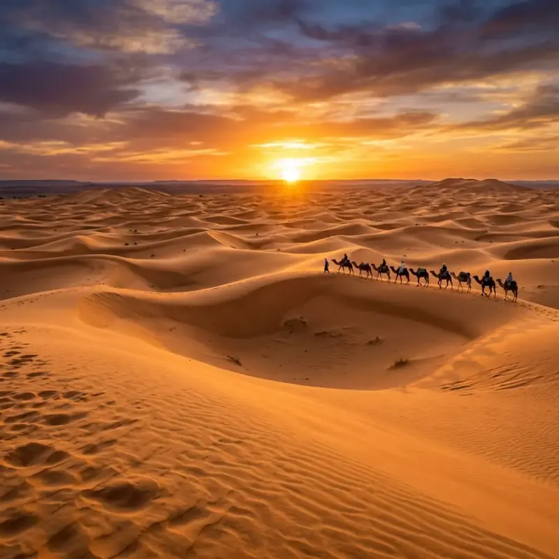 The Sahara Desert